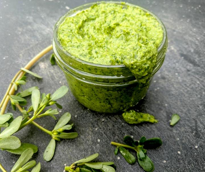 PURSLANE CHIMICHURRI