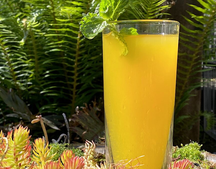 GINGER TURMERIC SWITCHEL with MINT