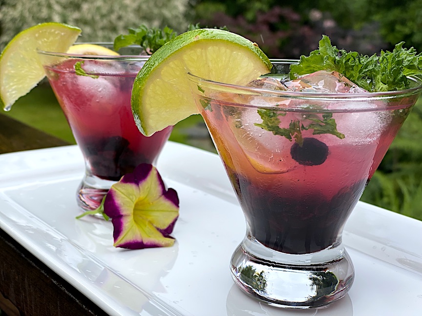 BLUEBERRY MINT VODKA COCKTAIL