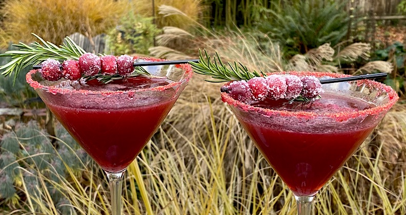 BLOOD ORANGE CRANBERRY VODKA COCKTAIL with SPICED SUGARED CRANBERRIES